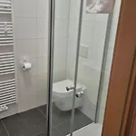 Radnice Dobrovice