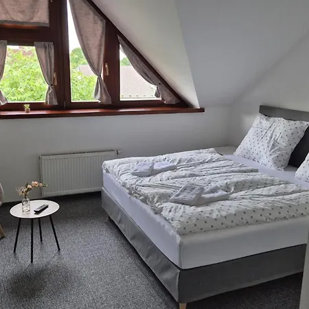 Hotel Hotel Wellness Radnice Dobrovice *