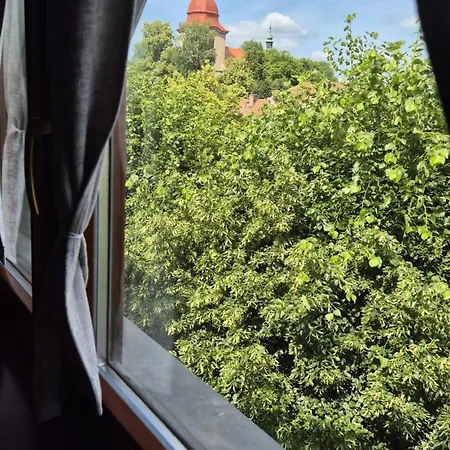 Hotel Hotel Wellness Radnice Dobrovice Dobrovice
