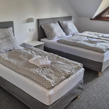 Hotel Wellness Radnice Dobrovice Hotel Dobrovice