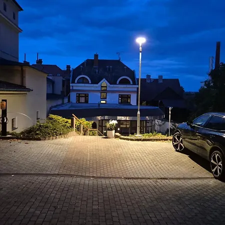 Hotel Hotel Wellness Radnice Dobrovice *
