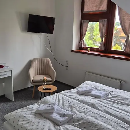 Hotel Hotel Wellness Radnice Dobrovice *