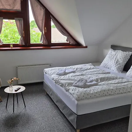Hotel Wellness Radnice Dobrovice Dobrovice