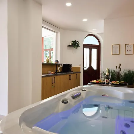 Hotel Wellness Radnice Dobrovice Hotel Dobrovice